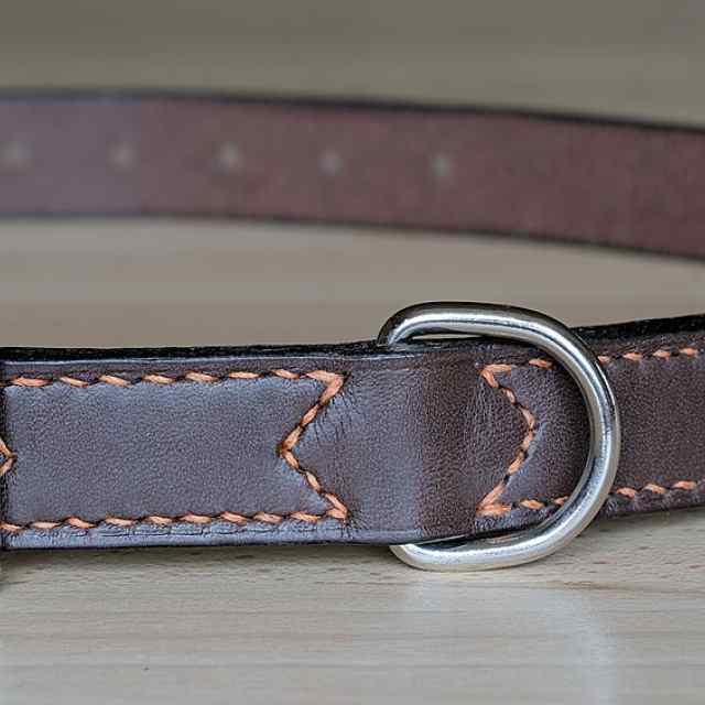Leather Dog Leash